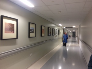 Winning entries displayed  in St Mary's Hospital Manchester